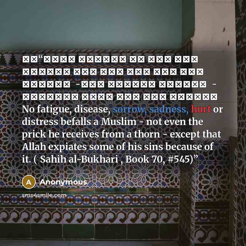 “ما يصيب المسلم من نصب ولا وصب ولا همّ ولا حزن ولا أذى ولا غمّ - حتى الشوكة يشاكها - إلا كفّر الله بها مِن خطاياه No fatigue, disease, sorrow, sadness, hurt or distress befalls a Muslim - not even the prick he receives from a thorn - except that Allah expiates some of his sins because of it. (…” quote by Anonymous