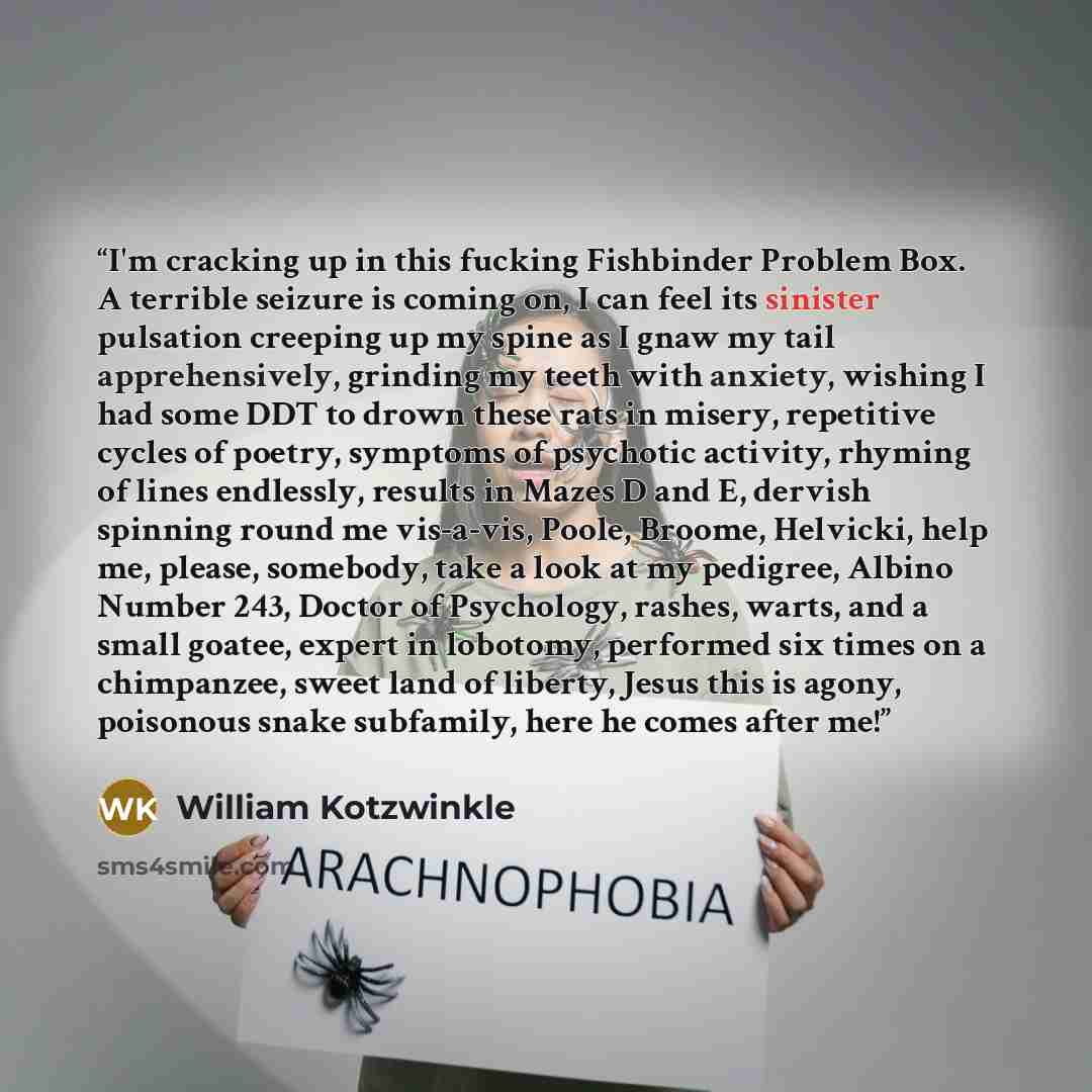 “I'm cracking up in this fucking Fishbinder Problem Box. A terrible seizure is coming on, I can feel its sinister pulsation creeping up my spine as I gnaw my tail apprehensively, grinding my teeth with anxiety, wishing I had some DDT to drown these rats in misery, repetitive cycles of poetry…” quote by William Kotzwinkle