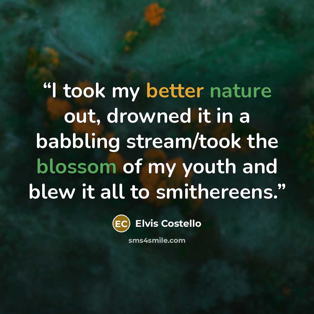 “I took my better nature out, drowned it in a babbling stream/took the blossom of my youth and blew it all to smithereens.” quote by Elvis Costello