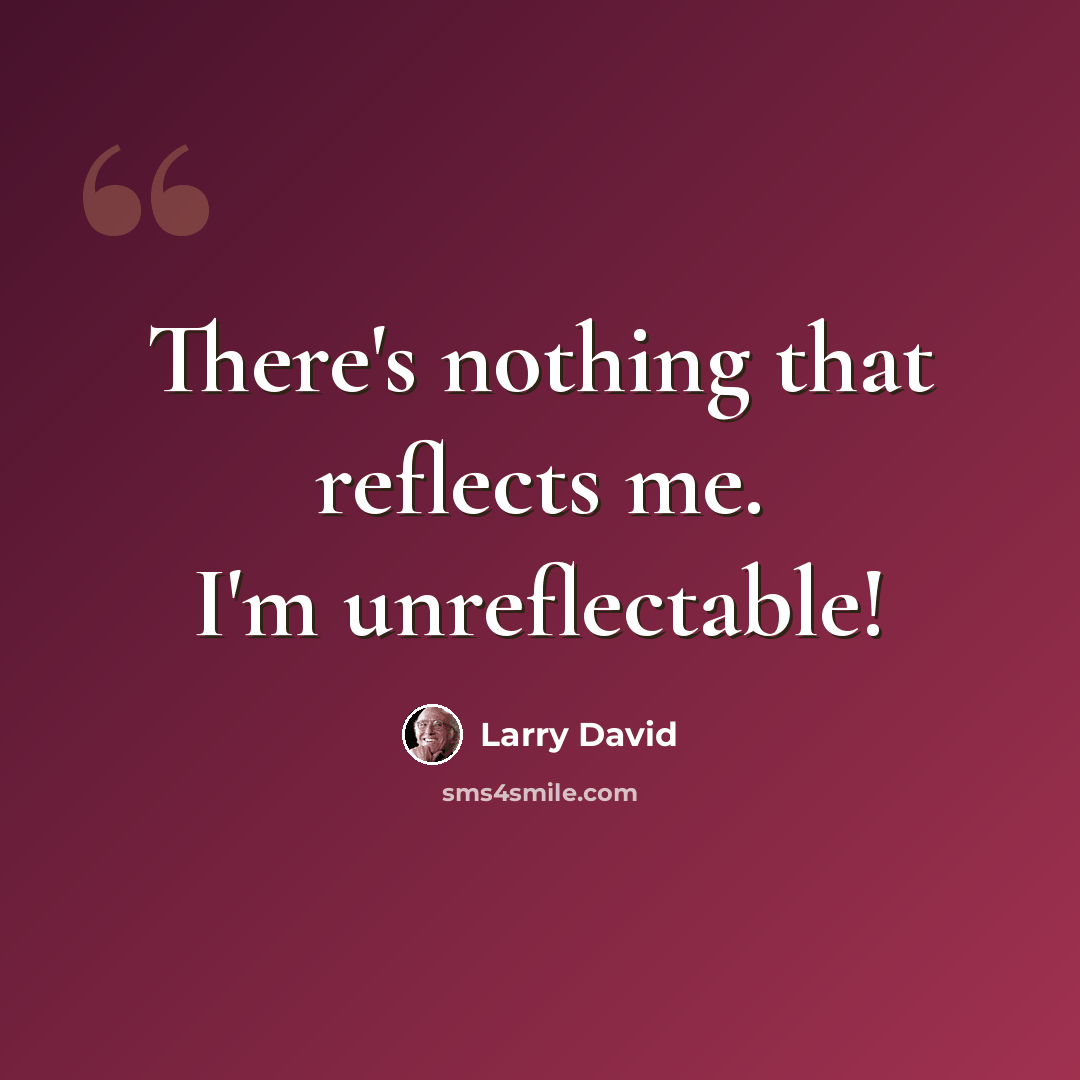 “There's nothing that reflects me. I'm unreflectable!” quote by Larry David