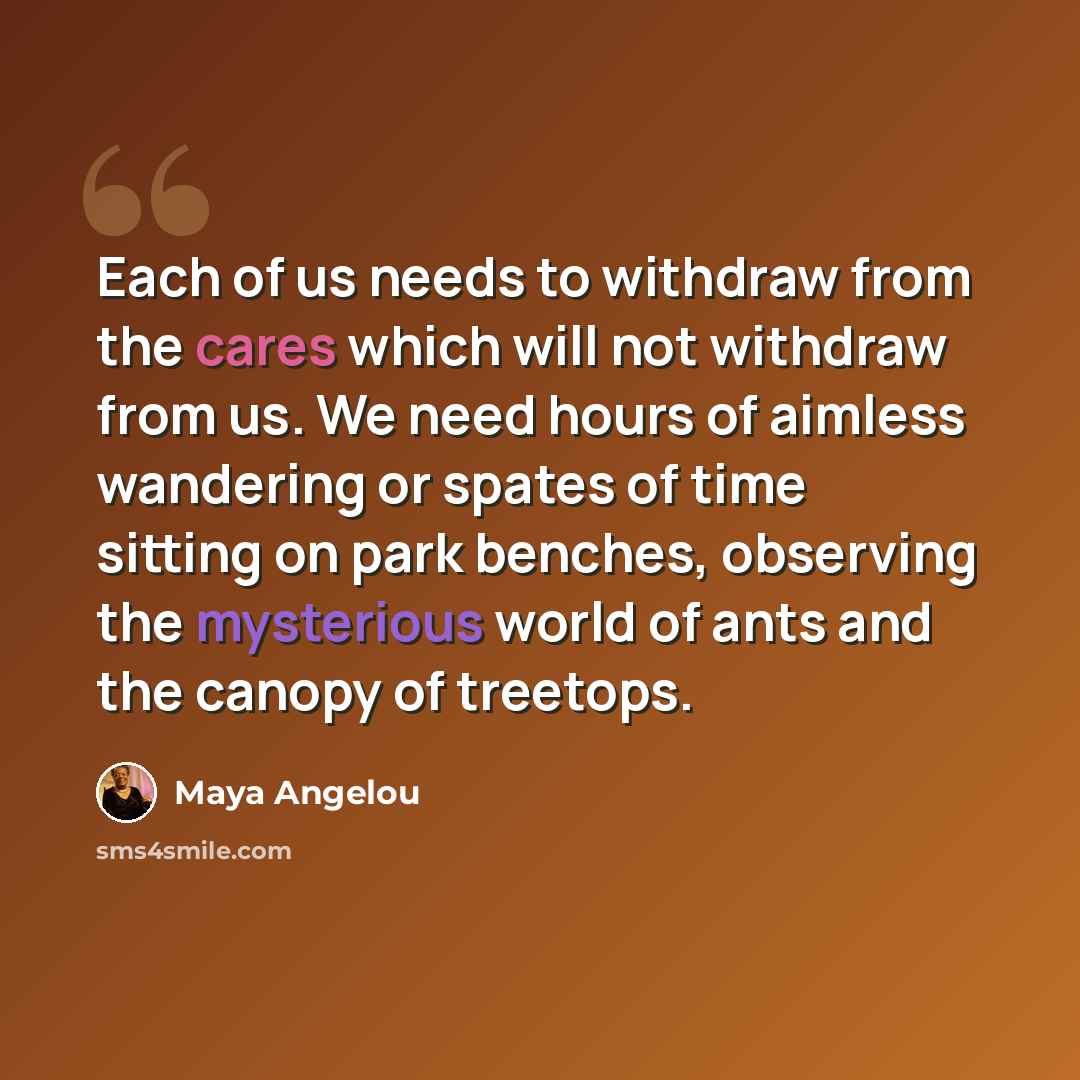 “Each of us needs to withdraw from the cares which will not withdraw from us. We need hours of aimless wandering or spates of time sitting on park benches, observing the mysterious world of ants and the canopy of treetops.” quote by Maya Angelou