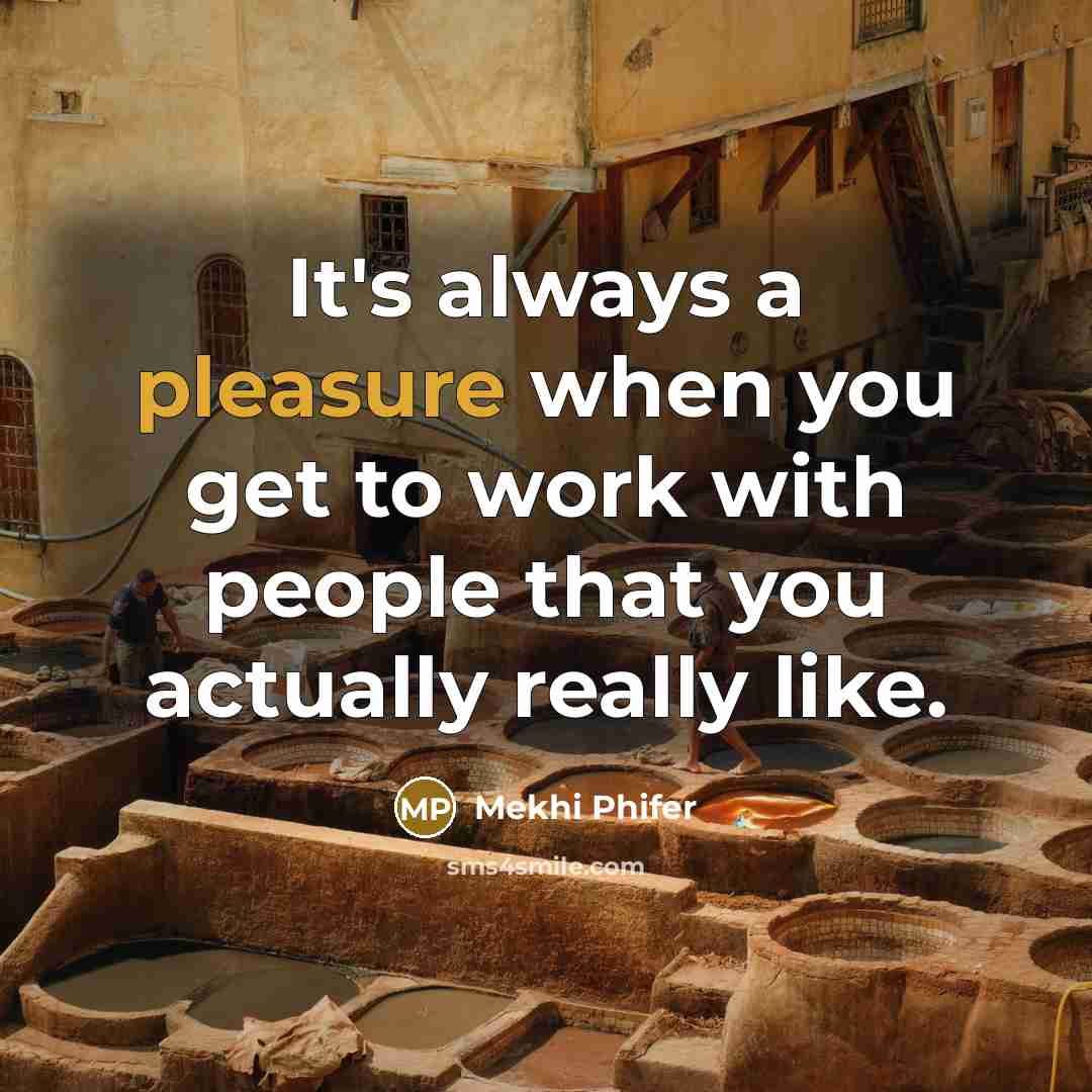 “It's always a pleasure when you get to work with people that you actually really like.” quote by Mekhi Phifer
