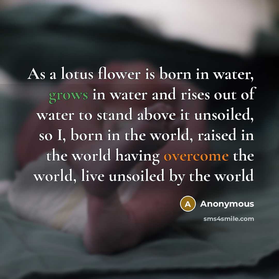 “As a lotus flower is born in water, grows in water and rises out of water to stand above it unsoiled, so I, born in the world, raised in the world having overcome the world, live unsoiled by the world” quote by Anonymous