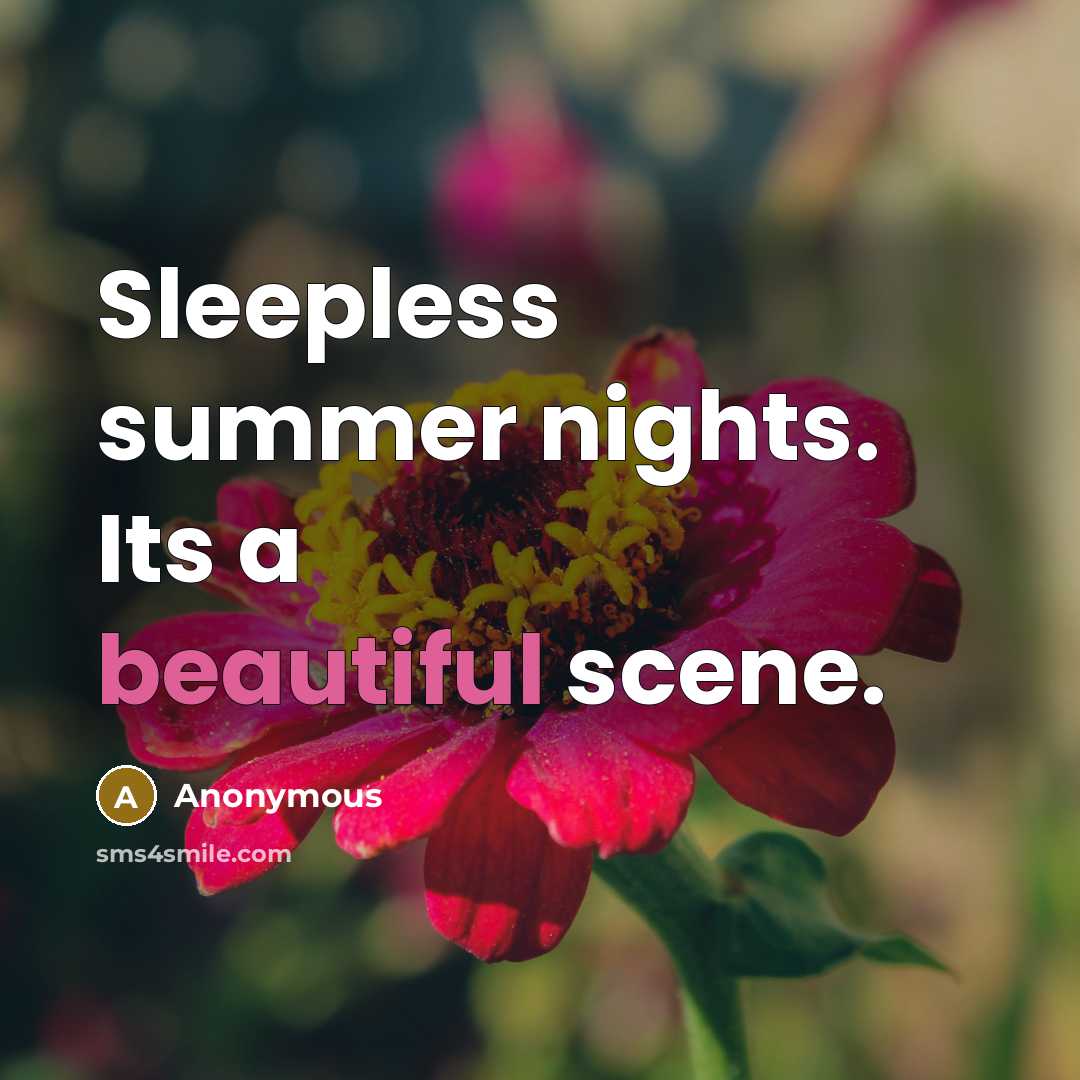 “Sleepless summer nights. Its a beautiful scene.” quote by Anonymous