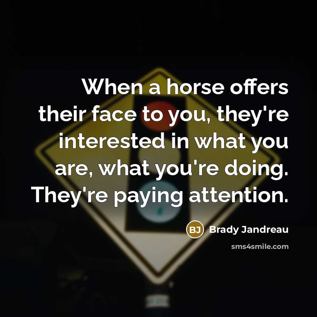 “When a horse offers their face to you, they're interested in what you are, what you're doing. They're paying attention.” quote by Brady Jandreau