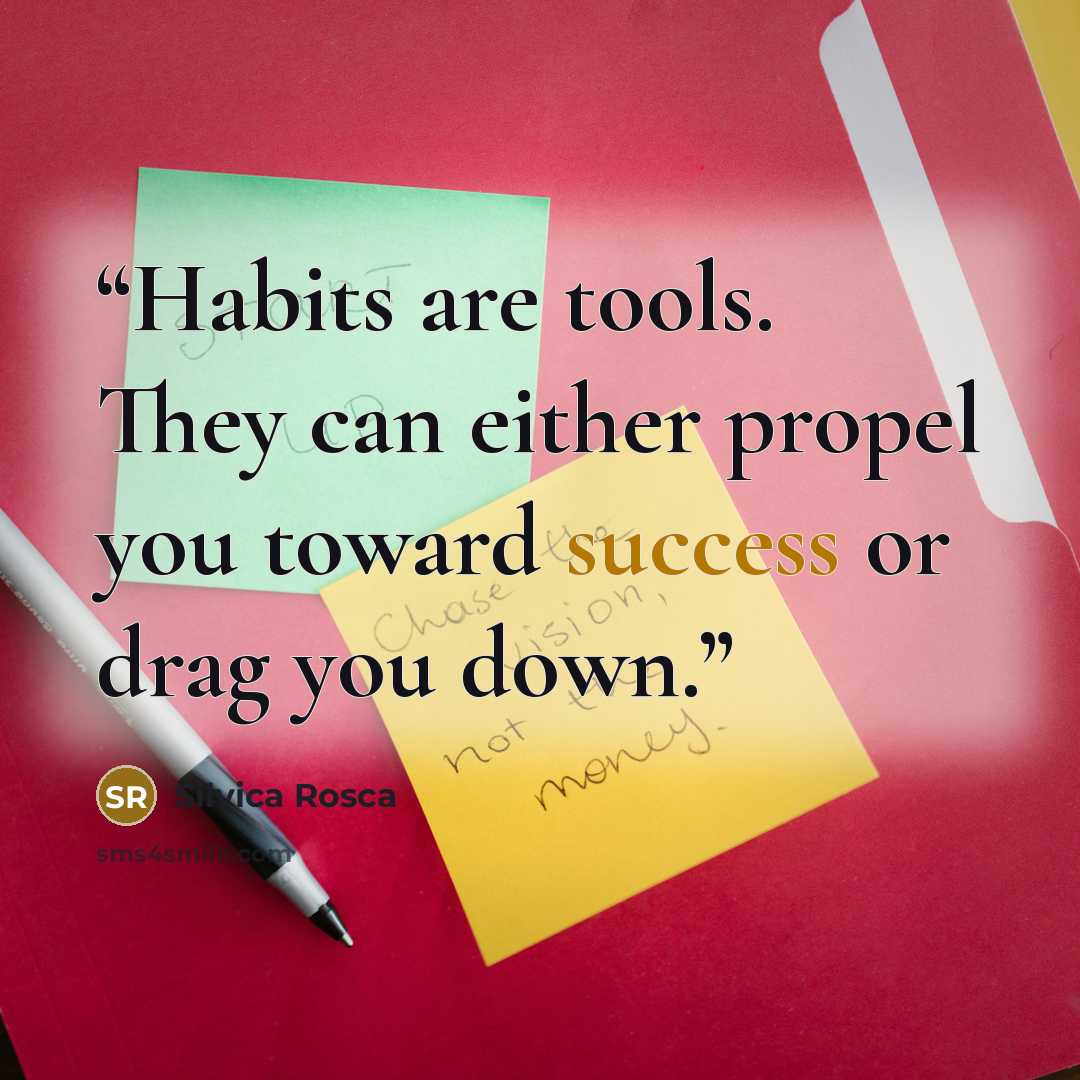 “Habits are tools. They can either propel you toward success or drag you down.” quote by Silvica Rosca