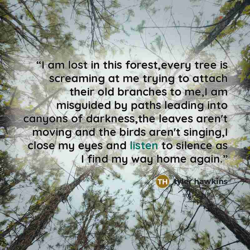 “I am lost in this forest,every tree is screaming at me trying to attach their old branches to me,I am misguided by paths leading into canyons of darkness,the leaves aren't moving and the birds aren't singing,I close my eyes and listen to silence as I find my way home again.” quote by Tyler Hawkins