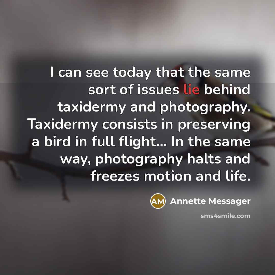 “I can see today that the same sort of issues lie behind taxidermy and photography. Taxidermy consists in preserving a bird in full flight... In the same way, photography halts and freezes motion and life.” quote by Annette Messager