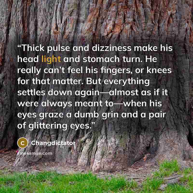 “Thick pulse and dizziness make his head light and stomach turn. He really can’t feel his fingers, or knees for that matter. But everything settles down again—almost as if it were always meant to—when his eyes graze a dumb grin and a pair of glittering eyes.” quote by Changdictator