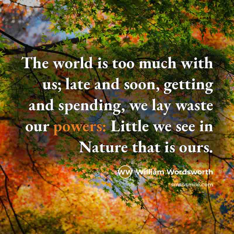 “The world is too much with us; late and soon, getting and spending, we lay waste our powers: Little we see in Nature that is ours.” quote by William Wordsworth