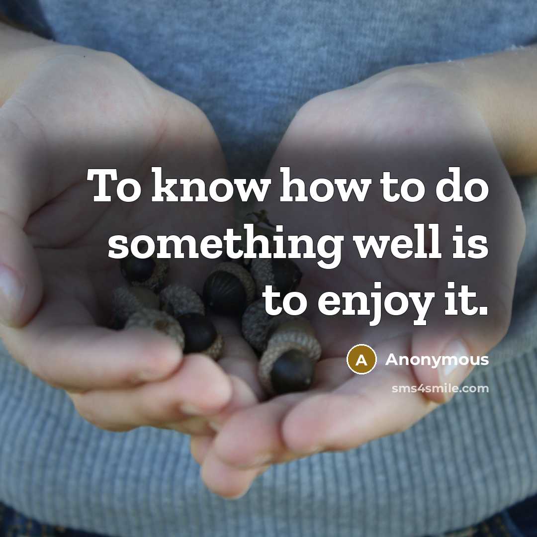“To know how to do something well is to enjoy it.” quote by Anonymous