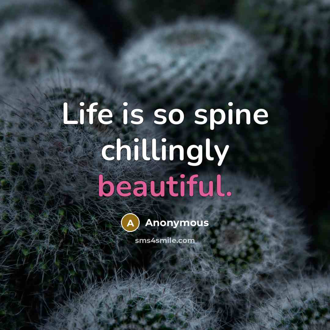 “Life is so spine chillingly beautiful.” quote by Anonymous
