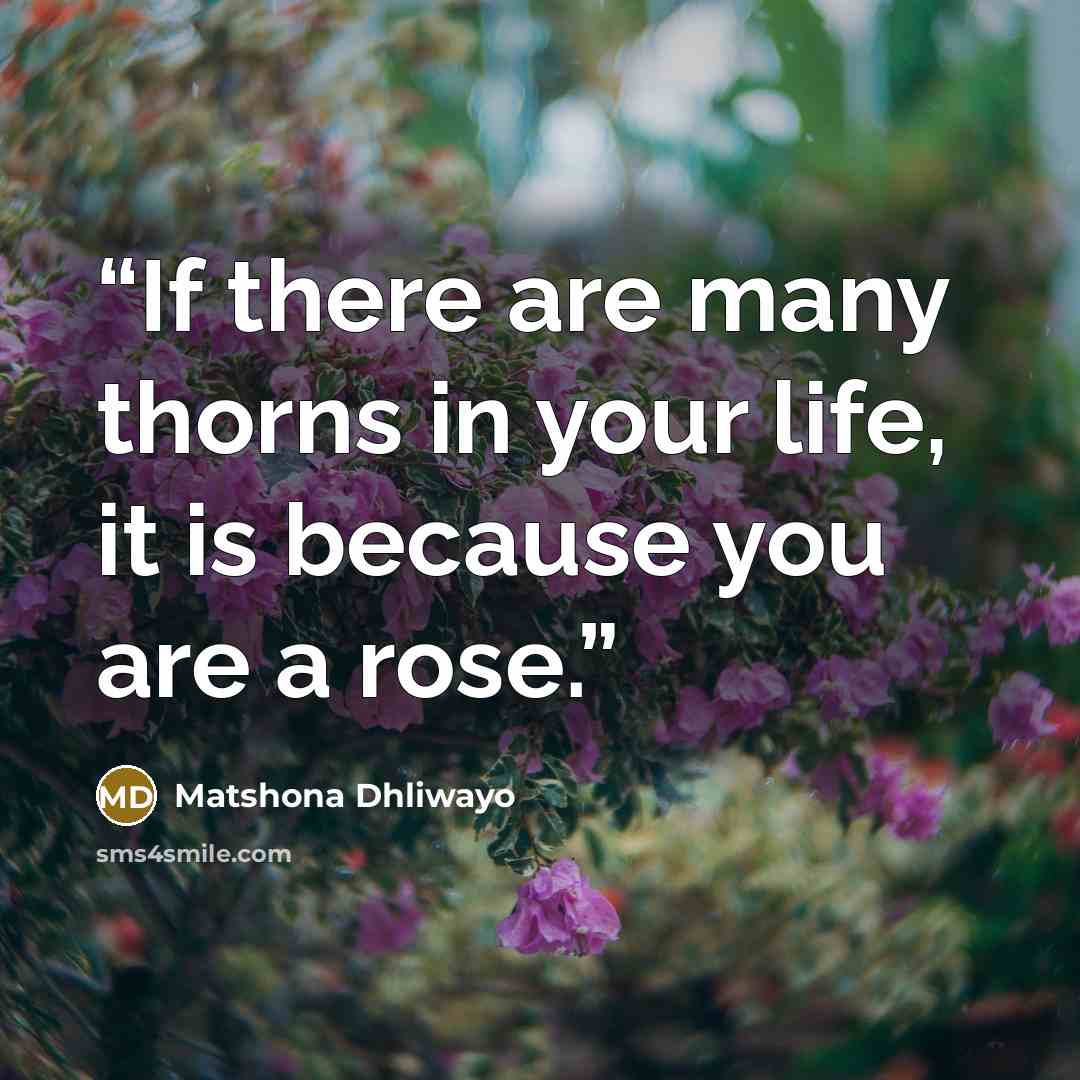 “If there are many thorns in your life, it is because you are a rose.” quote by Matshona Dhliwayo
