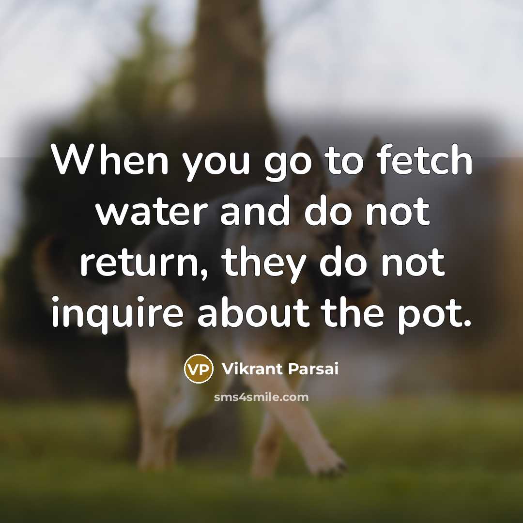 “When you go to fetch water and do not return, they do not inquire about the pot.” quote by Vikrant Parsai