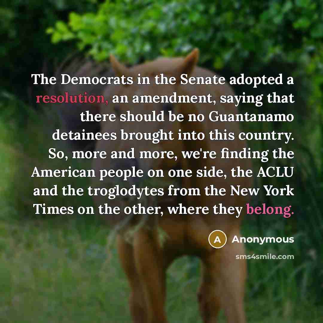“The Democrats in the Senate adopted a resolution, an amendment, saying that there should be no Guantanamo detainees brought into this country. So, more and more, we're finding the American people on one side, the ACLU and the troglodytes from the New York Times on the other, where they belong.” quote by Anonymous
