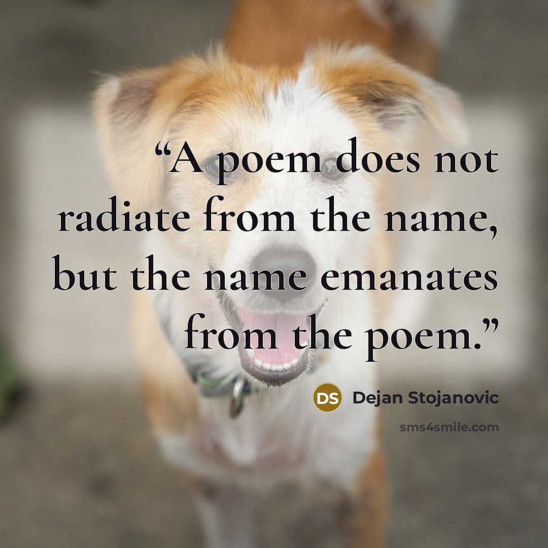 “A poem does not radiate from the name, but the name emanates from the poem.” quote by Dejan Stojanovic