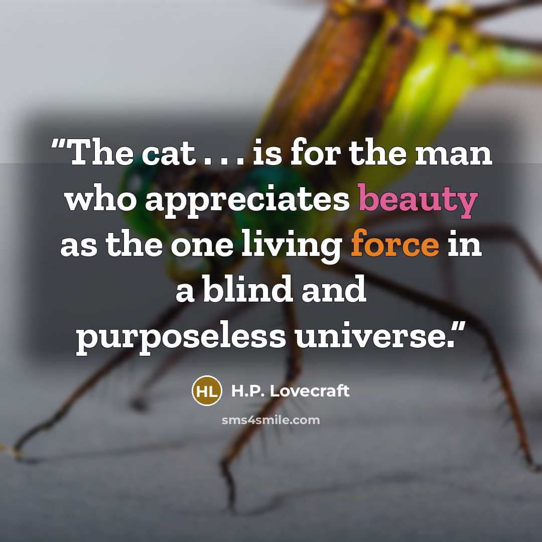 “The cat . . . is for the man who appreciates beauty as the one living force in a blind and purposeless universe.” quote by H.P. Lovecraft