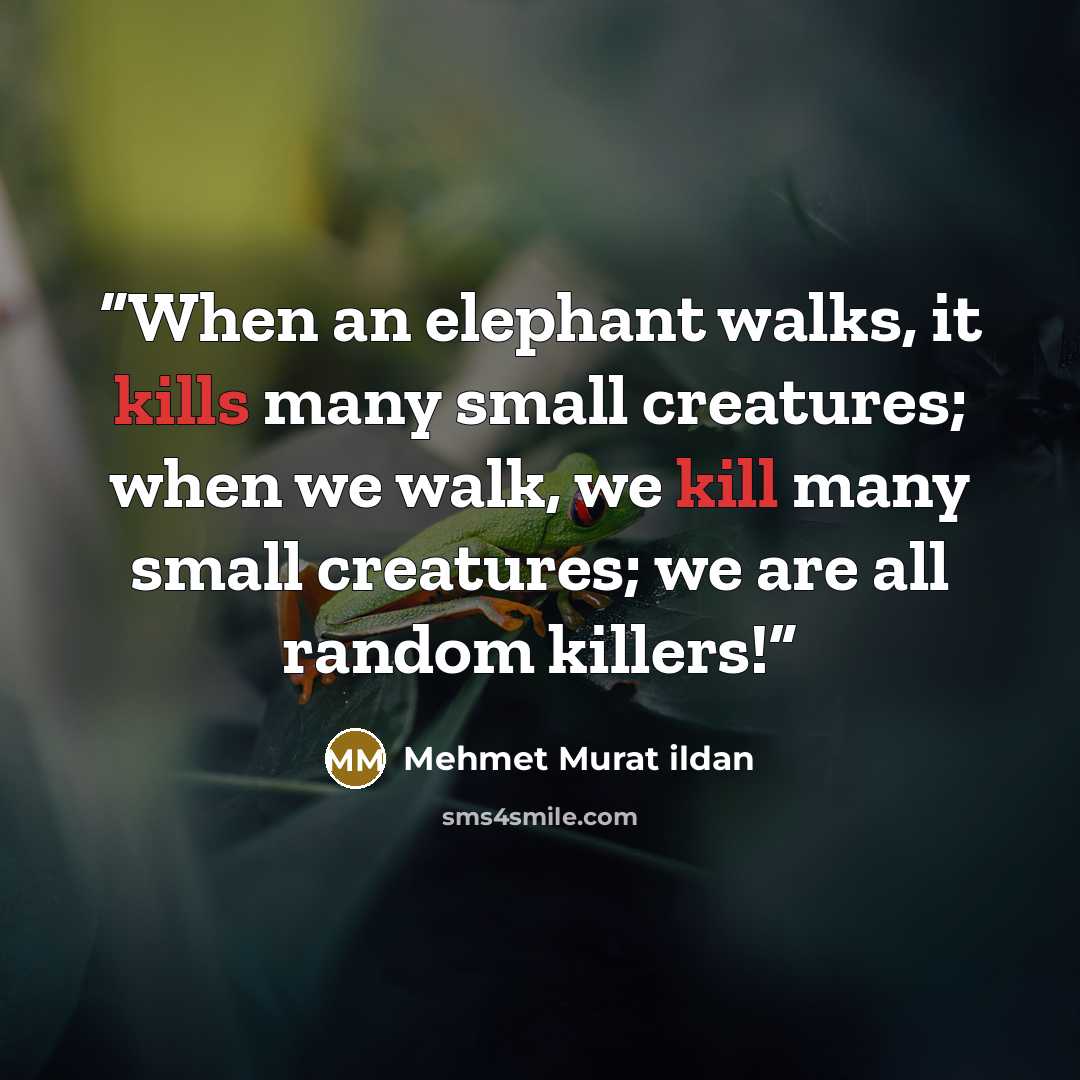 “When an elephant walks, it kills many small creatures; when we walk, we kill many small creatures; we are all random killers!” quote by Mehmet Murat ildan