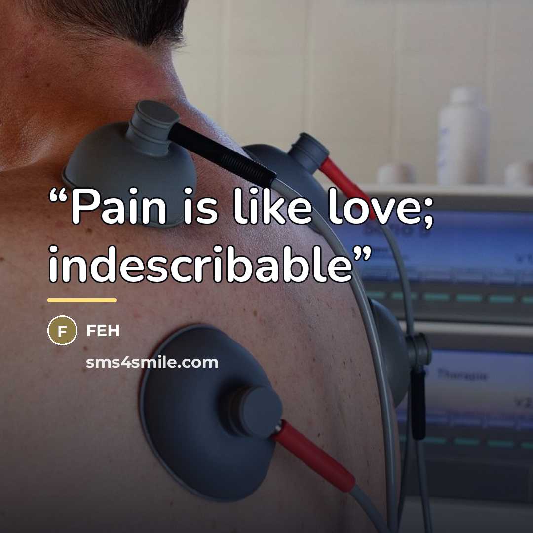 “Pain is like love; indescribable” quote by Feh