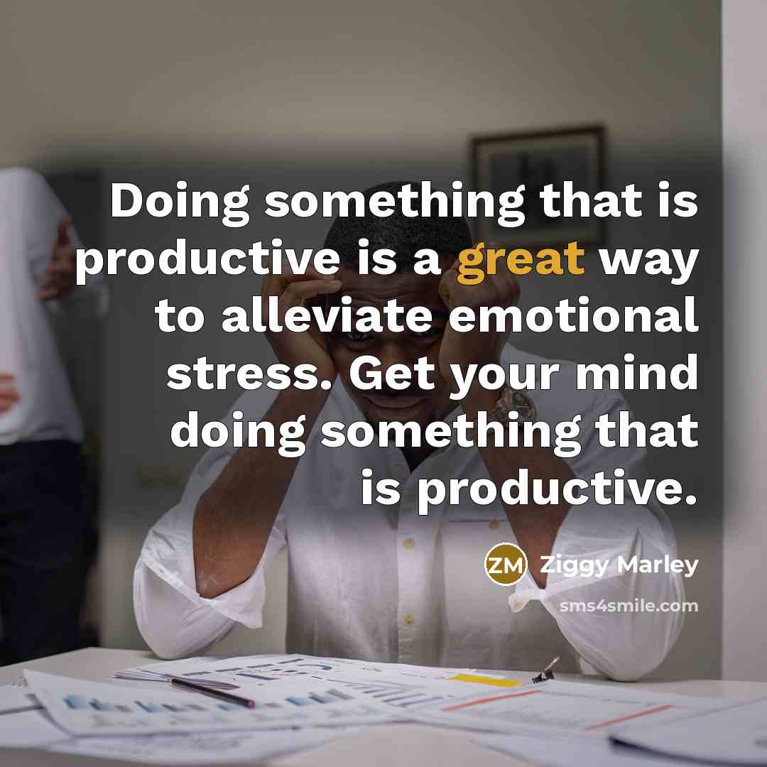 “Doing something that is productive is a great way to alleviate emotional stress. Get your mind doing something that is productive.” quote by Ziggy Marley