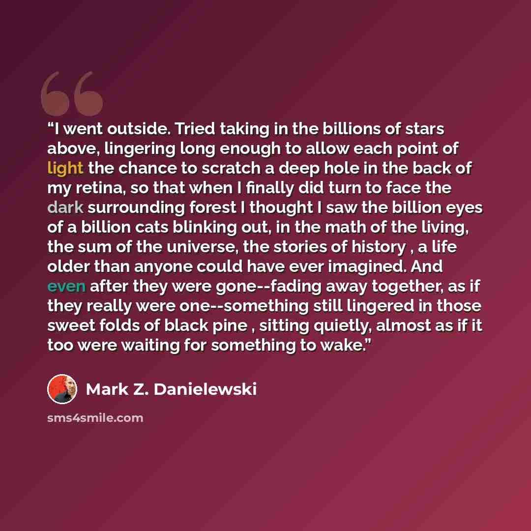 “I went outside. Tried taking in the billions of stars above, lingering long enough to allow each point of light the chance to scratch a deep hole in the back of my retina, so that when I finally did turn to face the dark surrounding forest I thought I saw the billion eyes of a billion cats…” quote by Mark Z. Danielewski