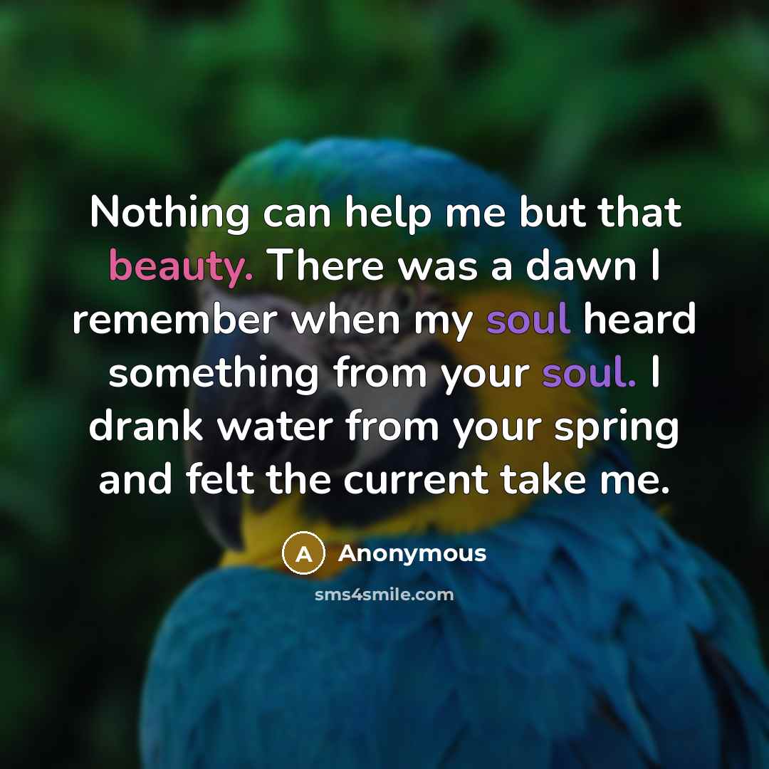 “Nothing can help me but that beauty. There was a dawn I remember when my soul heard something from your soul. I drank water from your spring and felt the current take me.” quote by Anonymous