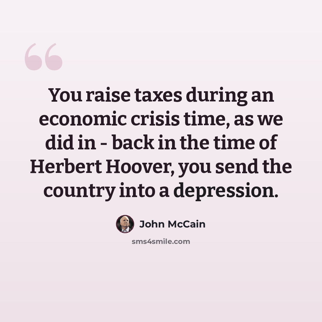 “You raise taxes during an economic crisis time, as we did in - back in the time of Herbert Hoover, you send the country into a depression.” quote by John McCain