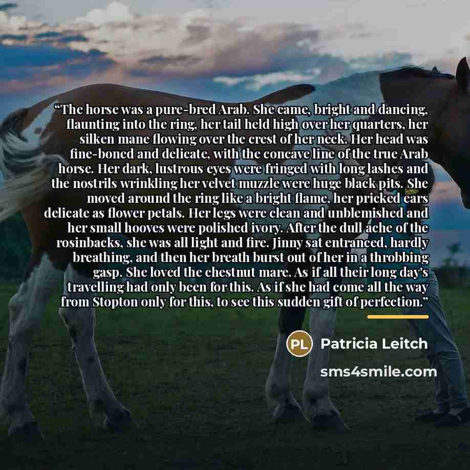 “The horse was a pure-bred Arab. She came, bright and dancing, flaunting into the ring, her tail held high over her quarters, her silken mane flowing over the crest of her neck. Her head was fine-boned and delicate, with the concave line of the true Arab horse. Her dark, lustrous eyes were fringed…” quote by Patricia Leitch