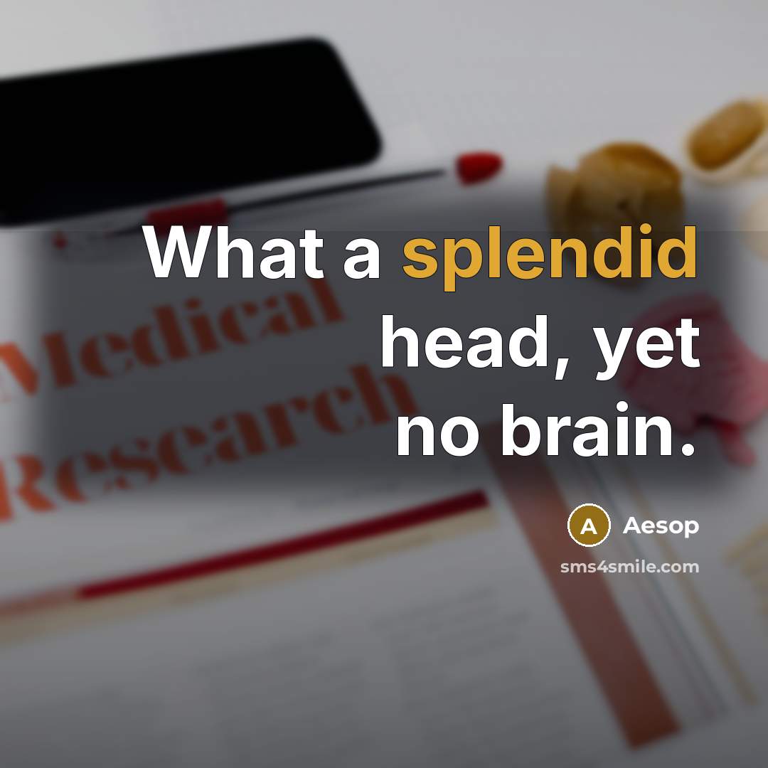 “What a splendid head, yet no brain.” quote by Aesop