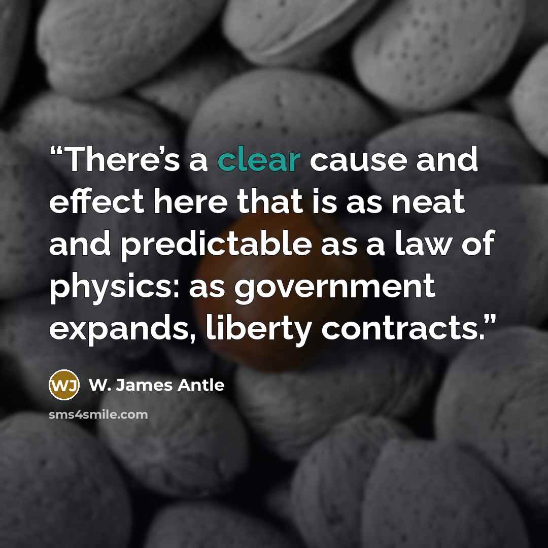 “There’s a clear cause and effect here that is as neat and predictable as a law of physics: as government expands, liberty contracts.” quote by W. James Antle