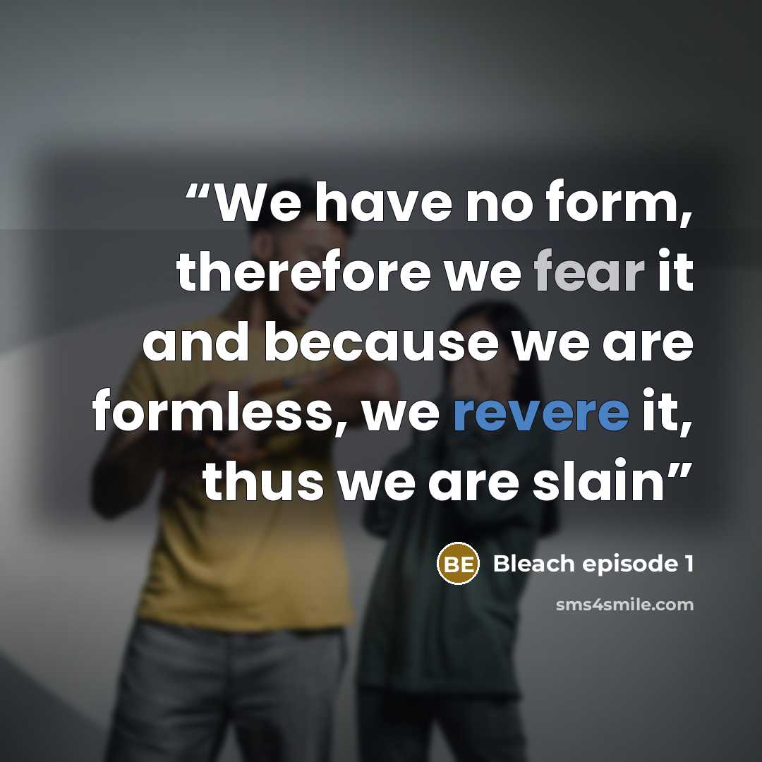 “We have no form, therefore we fear it and because we are formless, we revere it, thus we are slain” quote by Bleach episode 1