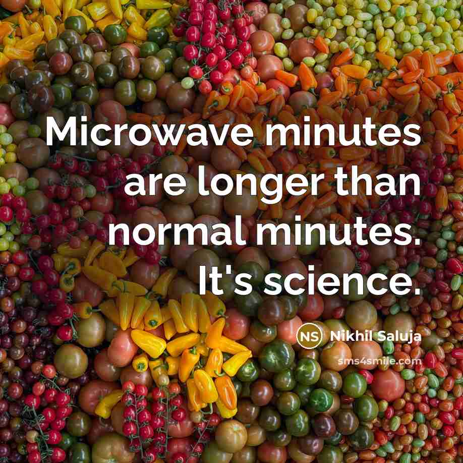 “Microwave minutes are longer than normal minutes. It's science.” quote by Nikhil Saluja