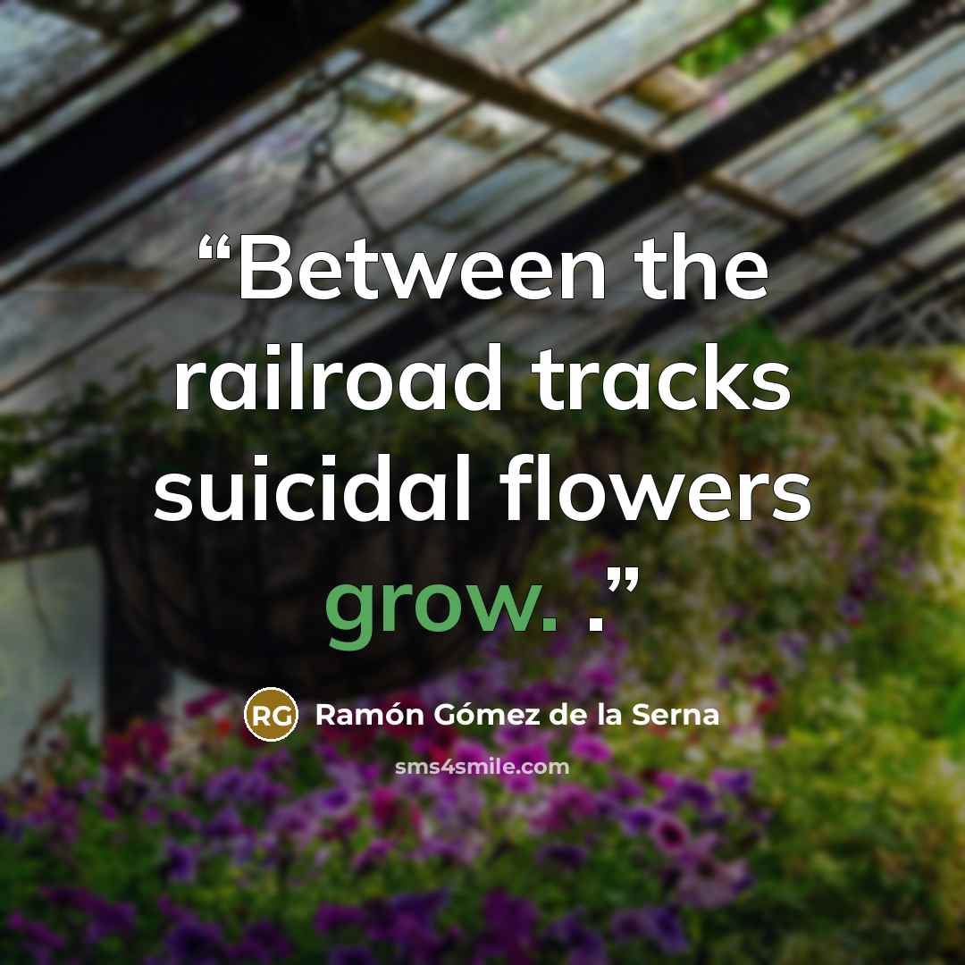 “Between the railroad tracks suicidal flowers grow. .” quote by Ramón Gómez de la Serna
