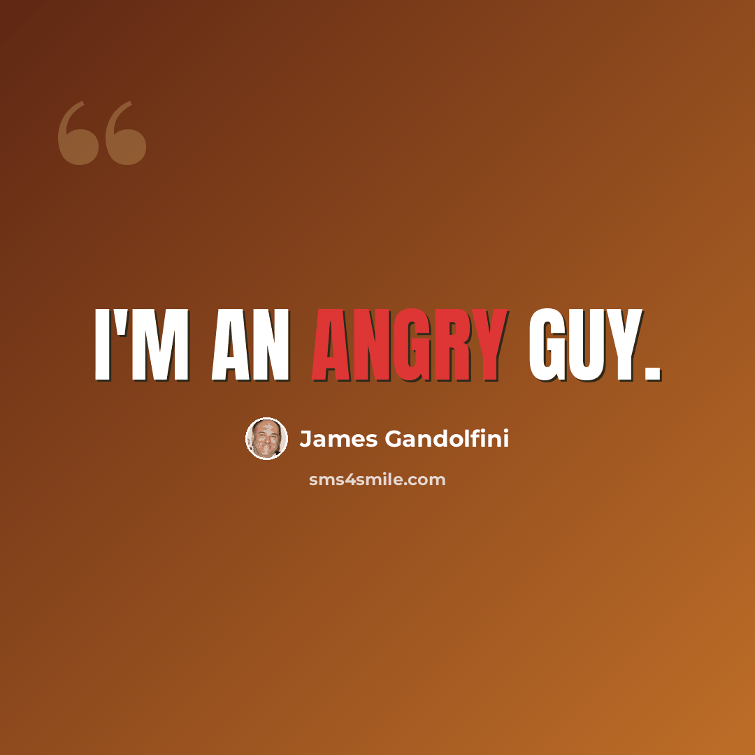 “I'm an angry guy.” quote by James Gandolfini