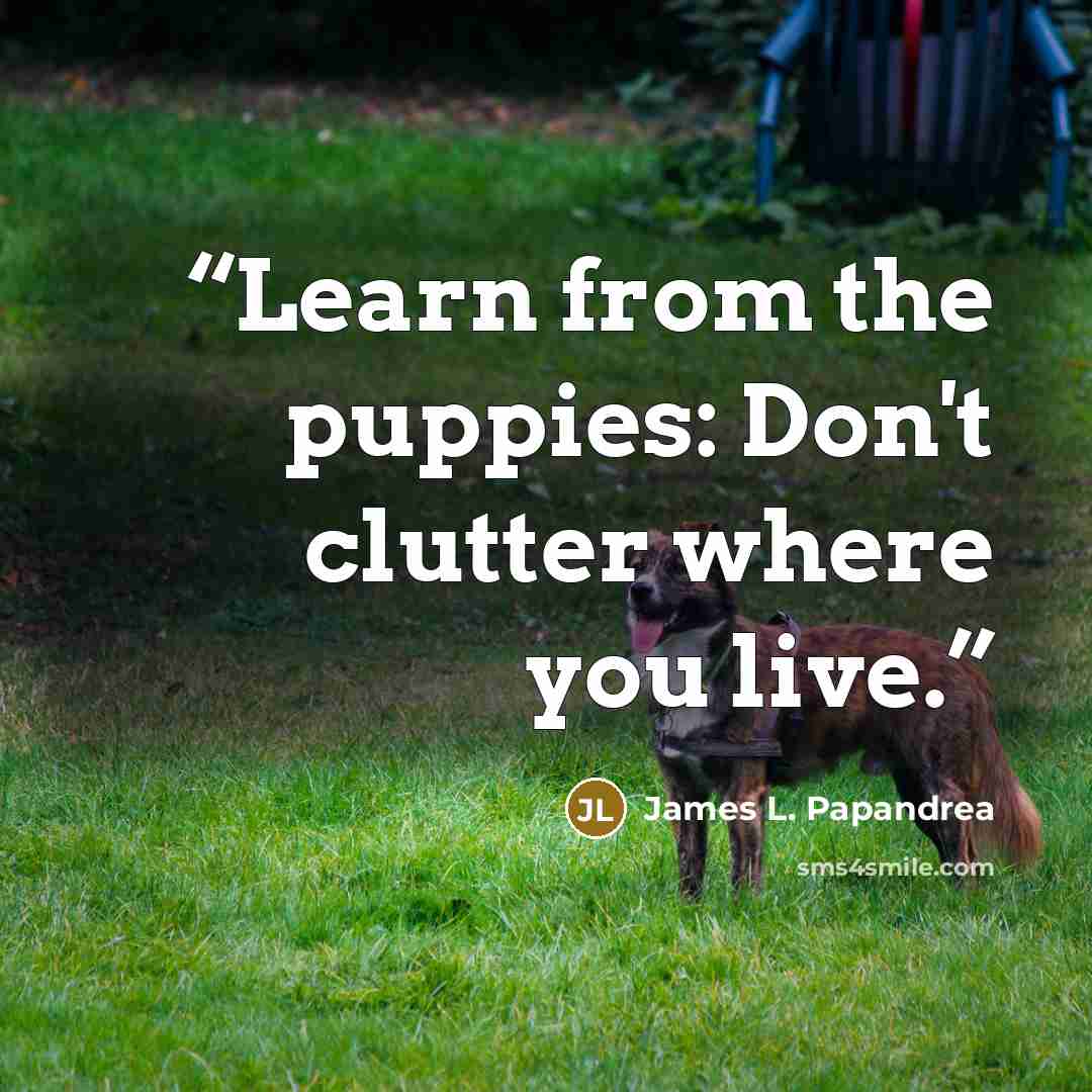 “Learn from the puppies: Don't clutter where you live.” quote by James L. Papandrea