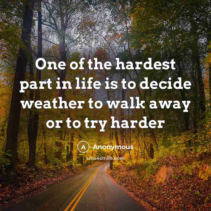 “One of the hardest part in life is to decide weather to walk away or to try harder” quote by Anonymous
