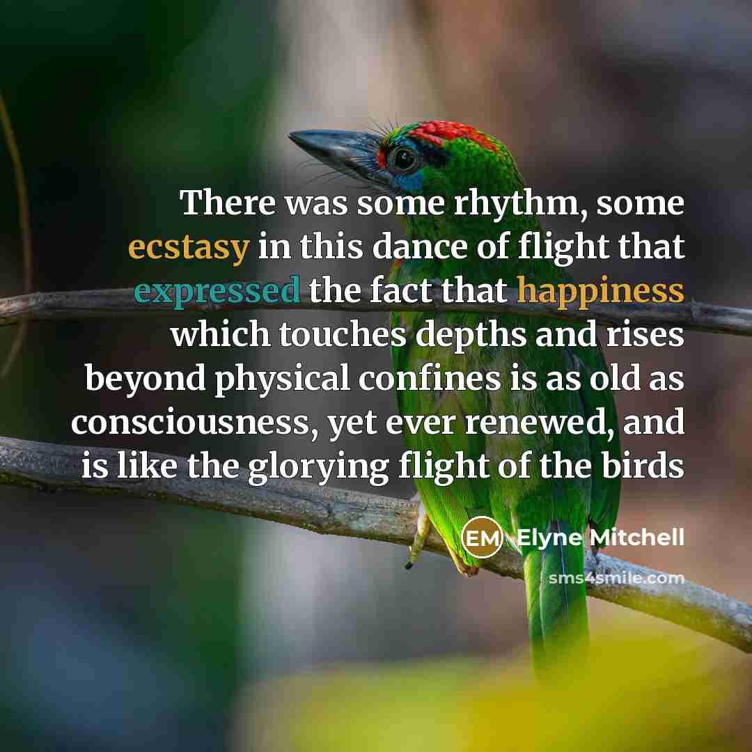“There was some rhythm, some ecstasy in this dance of flight that expressed the fact that happiness which touches depths and rises beyond physical confines is as old as consciousness, yet ever renewed, and is like the glorying flight of the birds” quote by Elyne Mitchell