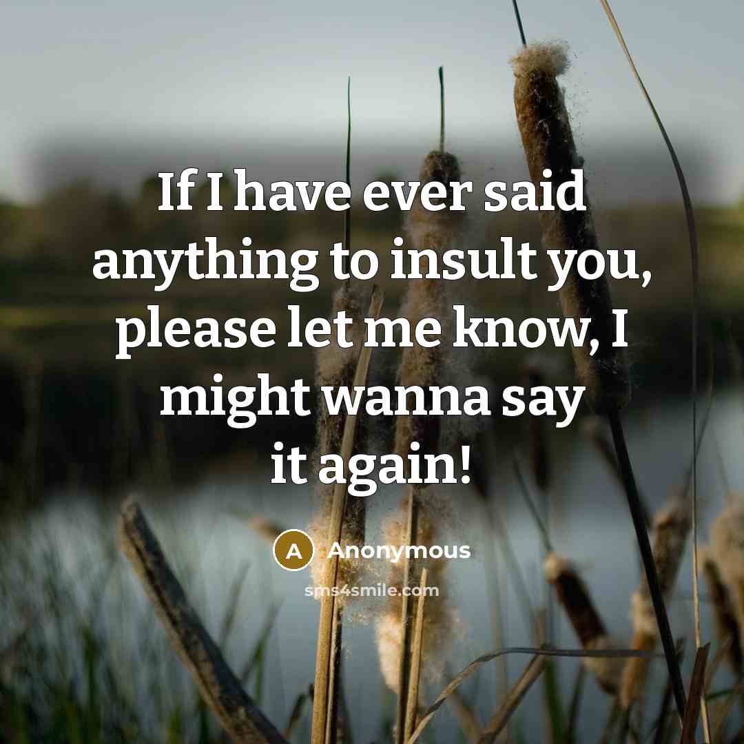 “If I have ever said anything to insult you, please let me know, I might wanna say it again!” quote by Anonymous