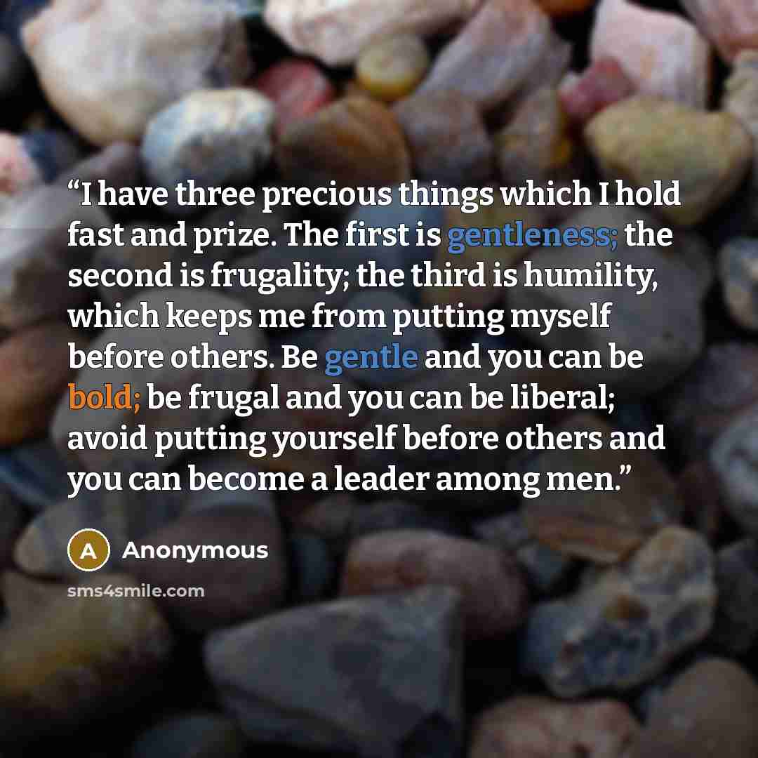 “I have three precious things which I hold fast and prize. The first is gentleness; the second is frugality; the third is humility, which keeps me from putting myself before others. Be gentle and you can be bold; be frugal and you can be liberal; avoid putting yourself before others and you can…” quote by Anonymous