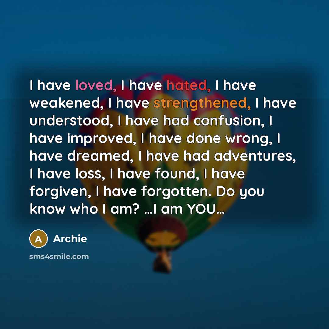 “I have loved, I have hated, I have weakened, I have strengthened, I have understood, I have had confusion, I have improved, I have done wrong, I have dreamed, I have had adventures, I have loss, I have found, I have forgiven, I have forgotten. Do you know who I am? …I am YOU…” quote by Archie