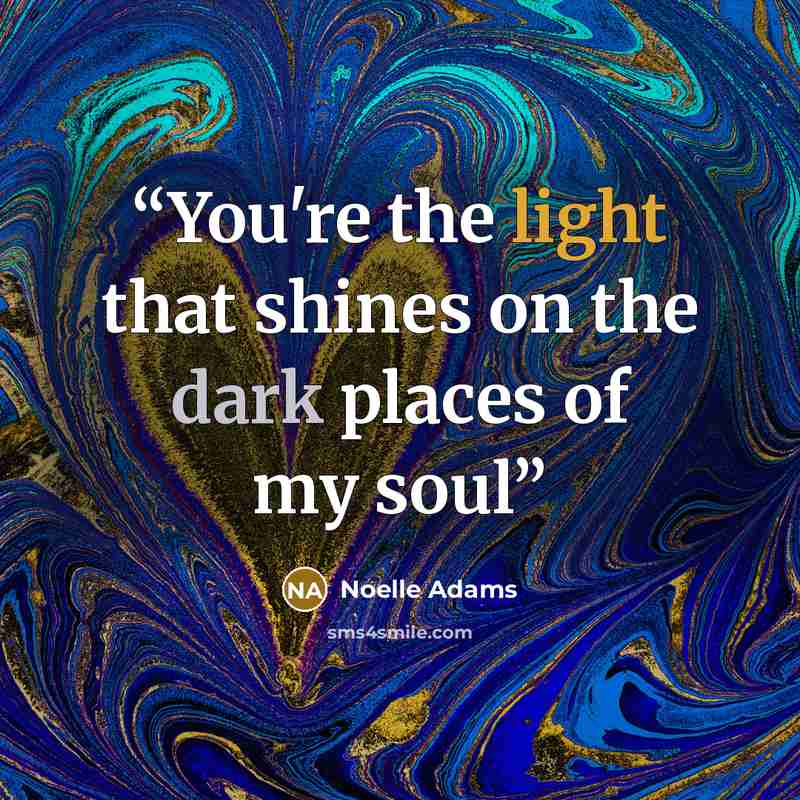 “You're the light that shines on the dark places of my soul” quote by Noelle Adams