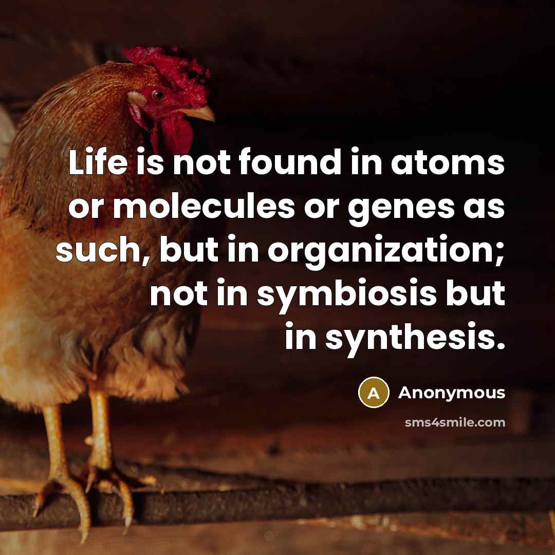 “Life is not found in atoms or molecules or genes as such, but in organization; not in symbiosis but in synthesis.” quote by Anonymous