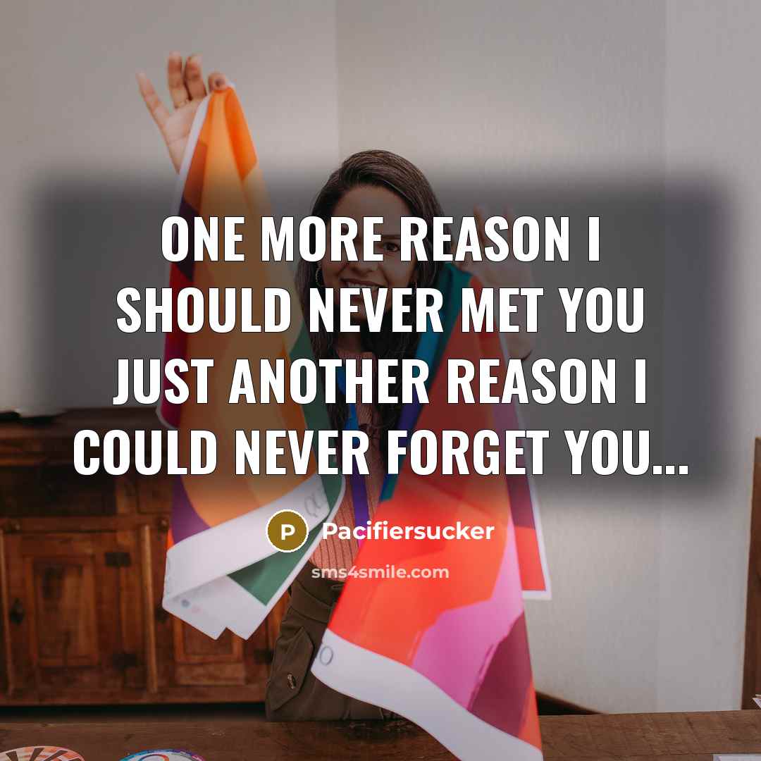 “One More Reason I Should Never Met You Just Another Reason I Could Never Forget You...” quote by Pacifiersucker