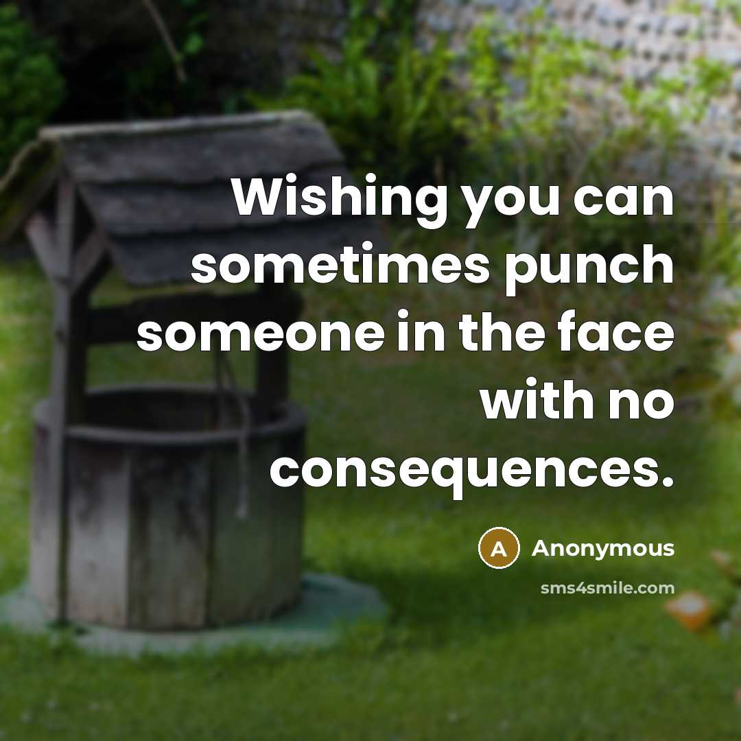 “Wishing you can sometimes punch someone in the face with no consequences.” quote by Anonymous
