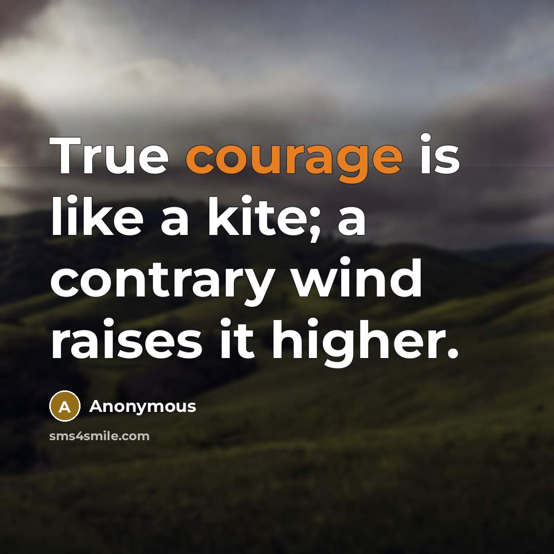 “True courage is like a kite; a contrary wind raises it higher.” quote by Anonymous
