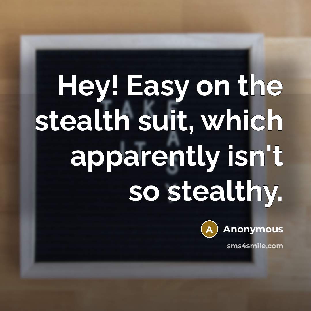 “Hey! Easy on the stealth suit, which apparently isn't so stealthy.” quote by Anonymous