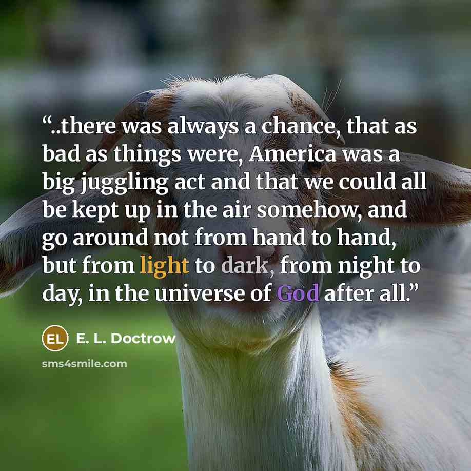 “..there was always a chance, that as bad as things were, America was a big juggling act and that we could all be kept up in the air somehow, and go around not from hand to hand, but from light to dark, from night to day, in the universe of God after all.” quote by E. L. Doctrow