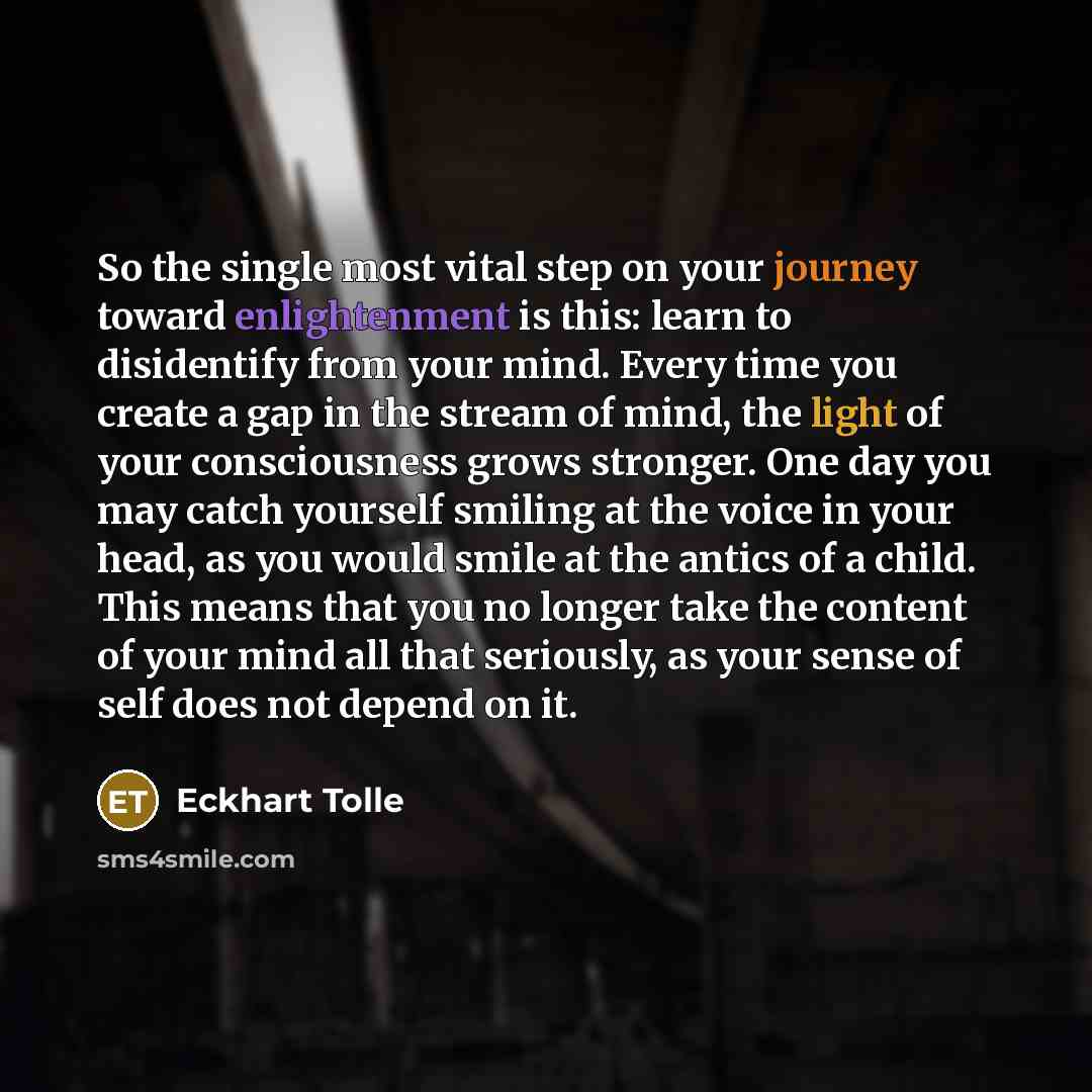 “So the single most vital step on your journey toward enlightenment is this: learn to disidentify from your mind. Every time you create a gap in the stream of mind, the light of your consciousness grows stronger. One day you may catch yourself smiling at the voice in your head, as you would smile…” quote by Eckhart Tolle