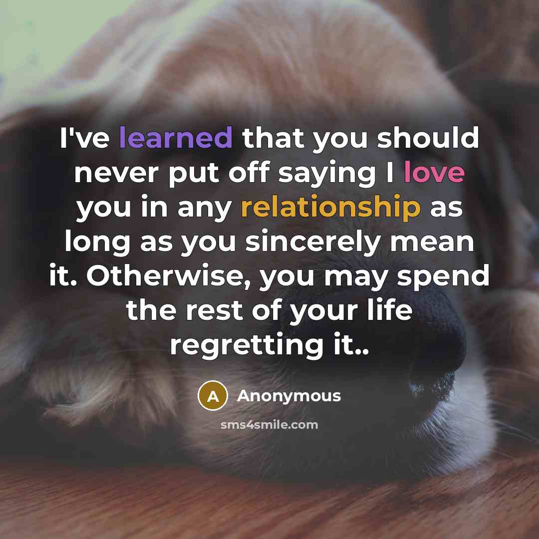 “I've learned that you should never put off saying I love you in any relationship as long as you sincerely mean it. Otherwise, you may spend the rest of your life regretting it..” quote by Anonymous