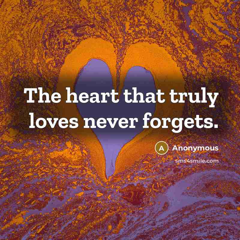 “The heart that truly loves never forgets.” quote by Anonymous